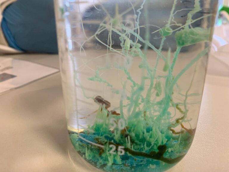 Chemiczny ogród – kolorowy eksperyment z siarczanami